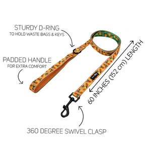 Dog Leash  - Mango Tango