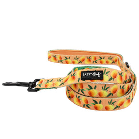 Dog Two Piece Bundle - Mango Tango