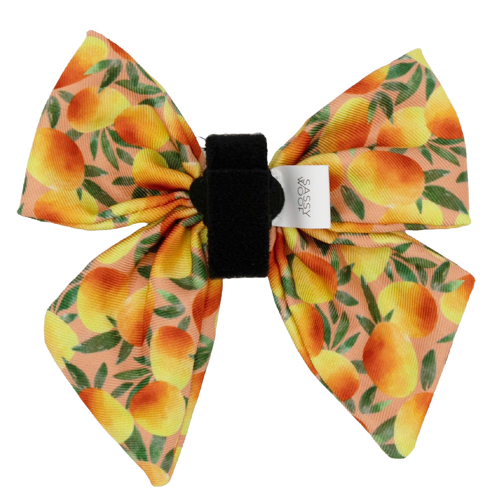 Dog Sailor Bow - Mango Tango