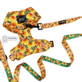 Dog Two Piece Bundle - Mango Tango