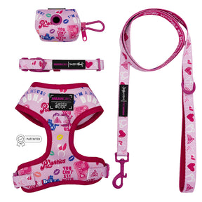 Dog Four Piece Bundle - Mean Girls™