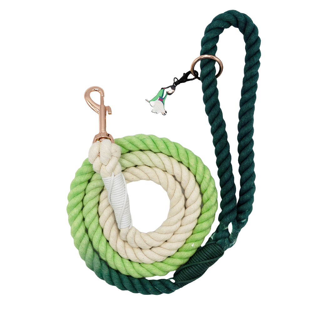 Dog Rope Leash - Disney's Mulan