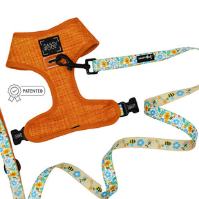 Dog Two Piece Bundle - Must Be the Honey