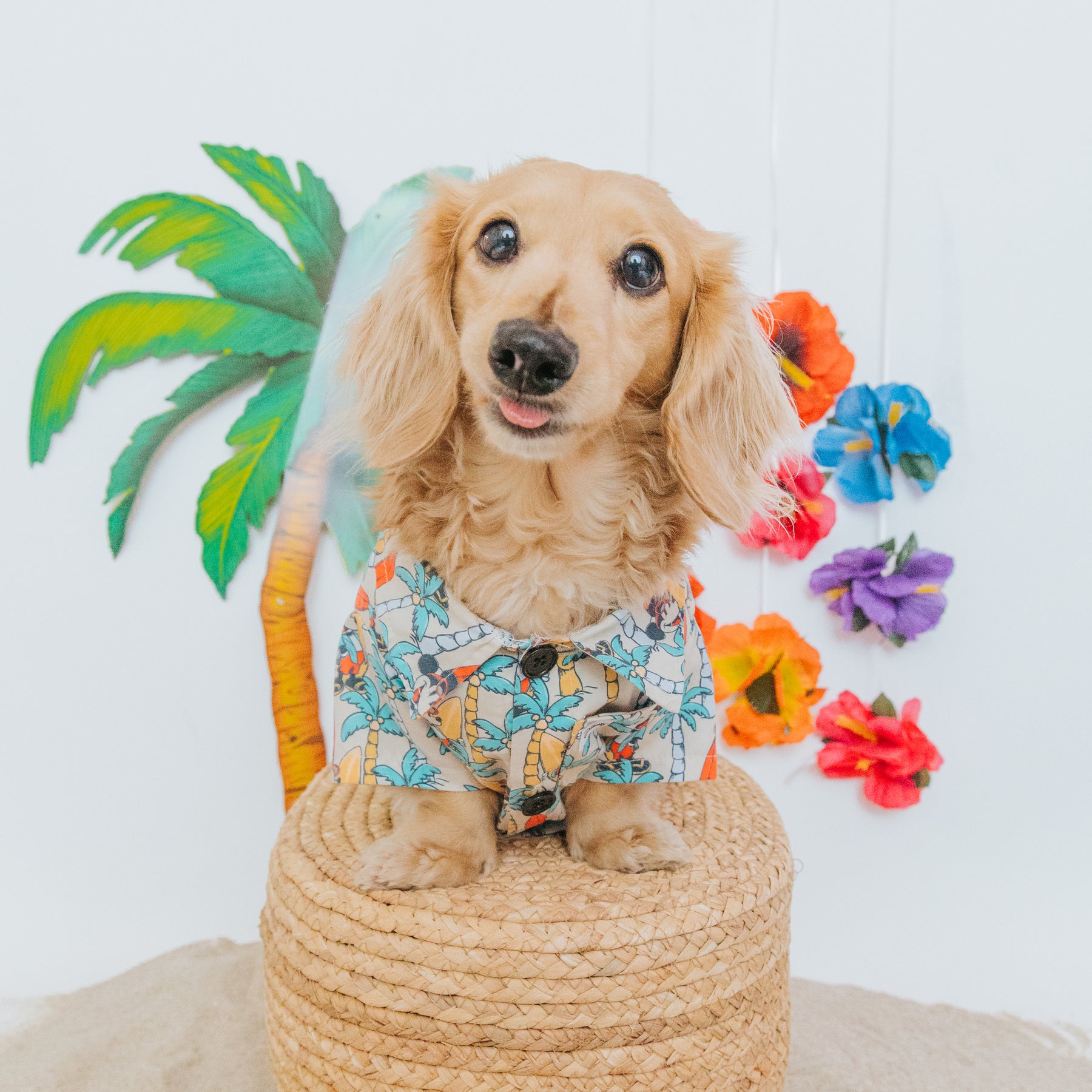 Dog Hawaiian Shirt - Mickey Mouse