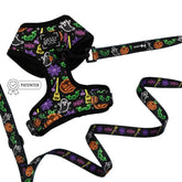 Dog Two Piece Bundle - Neon Frights