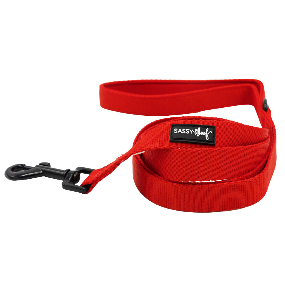 Dog Two Piece Bundle - Neon Red