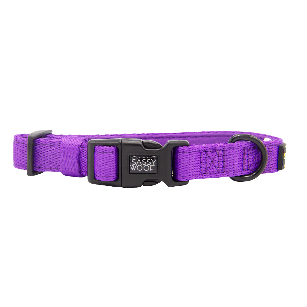 Collar Three Piece Bundle - Neon Purple