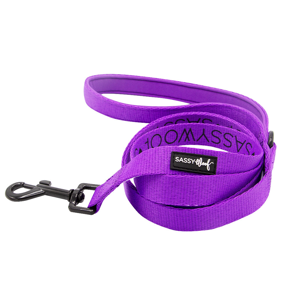 Collar Three Piece Bundle - Neon Purple