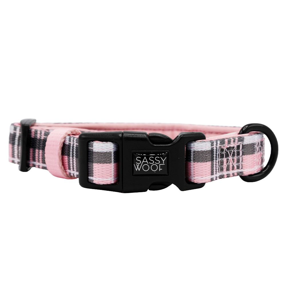 Dog Collar - Pawberry