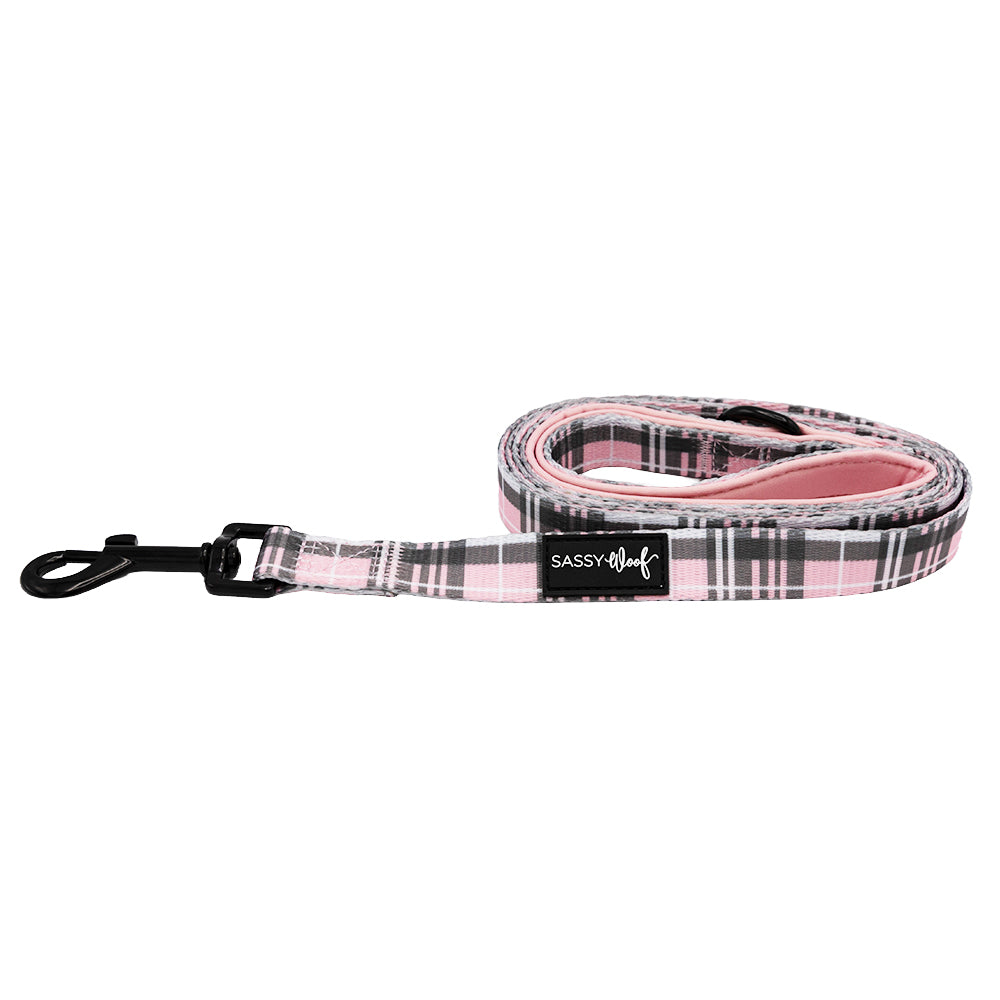 Dog Leash- Pawberry