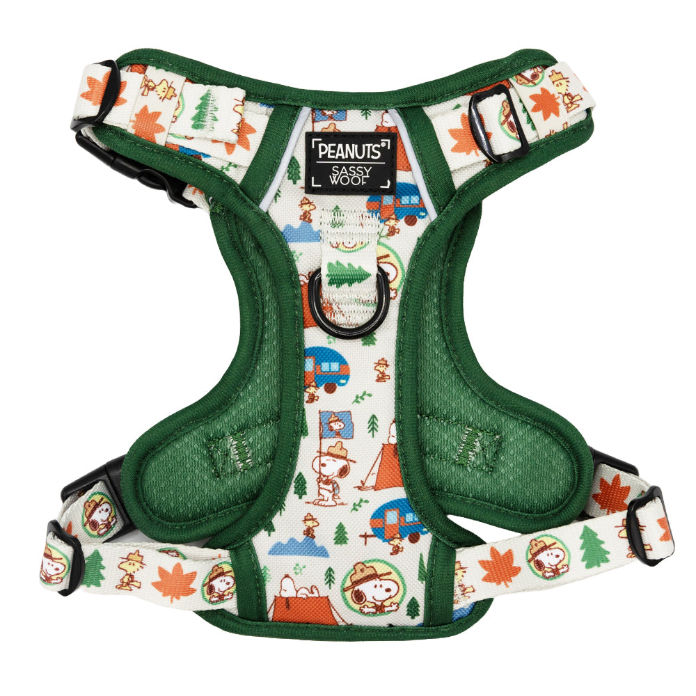 Dog Four Piece Bundle - Peanuts™ Beagle Scouts