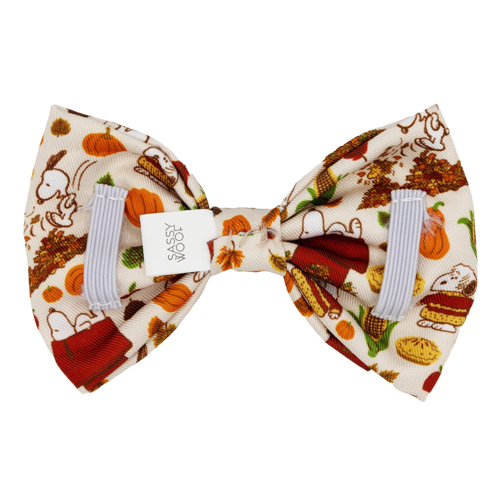 Dog Bowtie - Peanuts™ Harvest