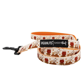 Dog Four Piece Bundle - Peanuts™ Harvest