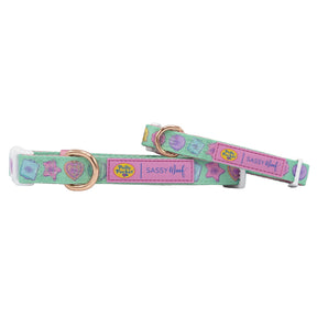 Dog Collar - Polly Pocket™