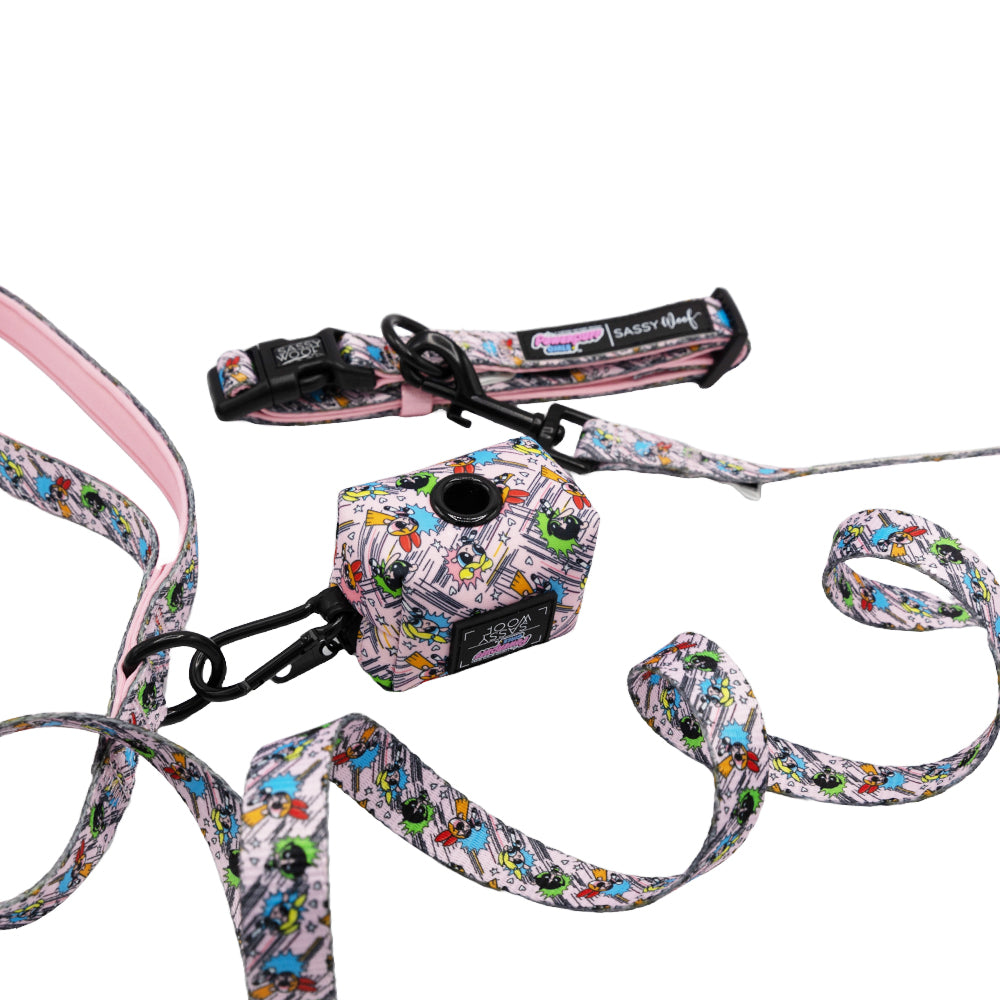 Collar Three Piece Bundle - The Powerpuff Girls™ (Pink)
