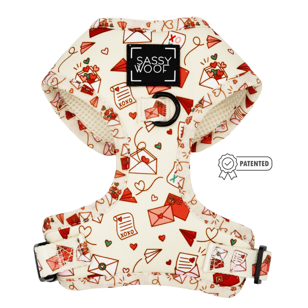 Dog Two Piece Bundle - P.S. I Woof You