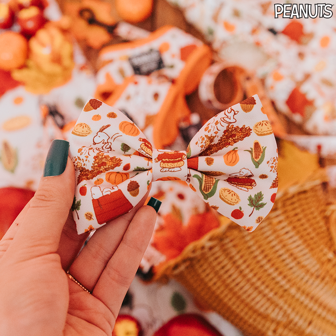 Dog Bowtie - Peanuts™ Harvest