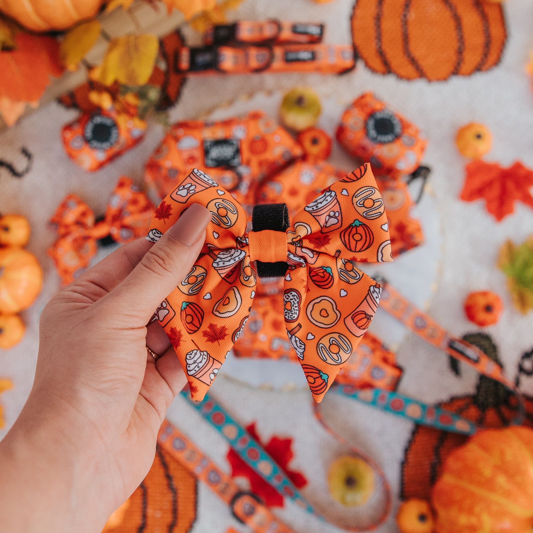 Dog Sailor Bow - Pupkin Donuts