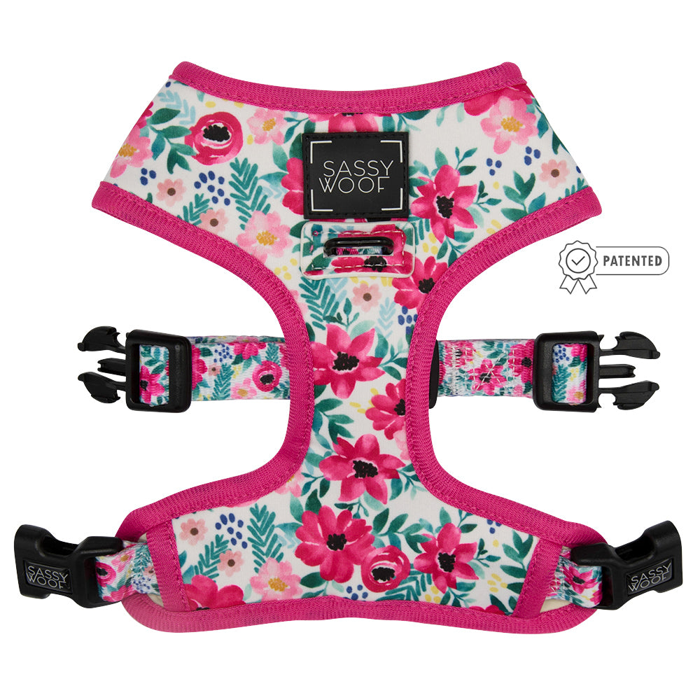 Dog Two Piece Bundle - Floral Frenzy