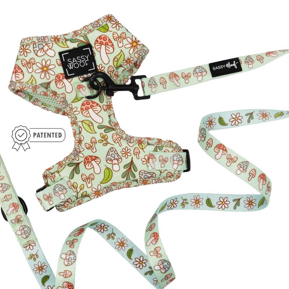 Dog Two Piece Bundle - Shrooms & Blooms