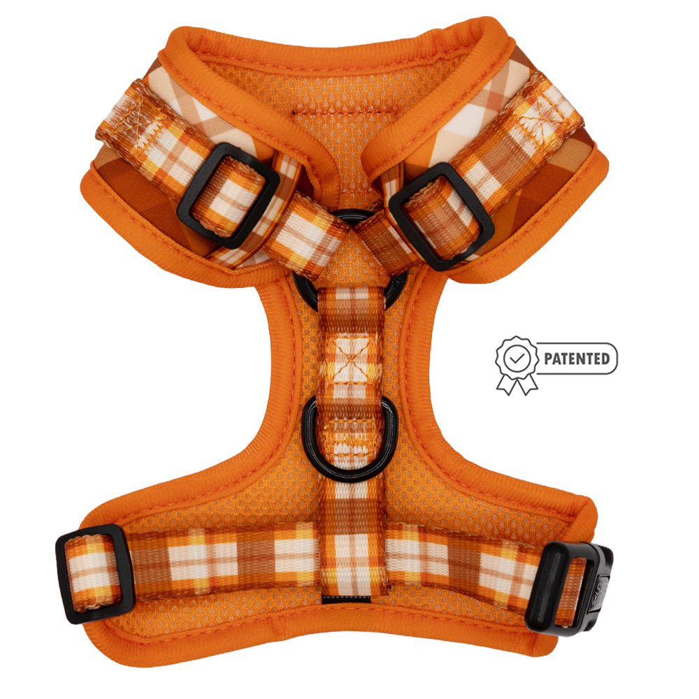 Dog Adjustable Harness - Spiced Harvest