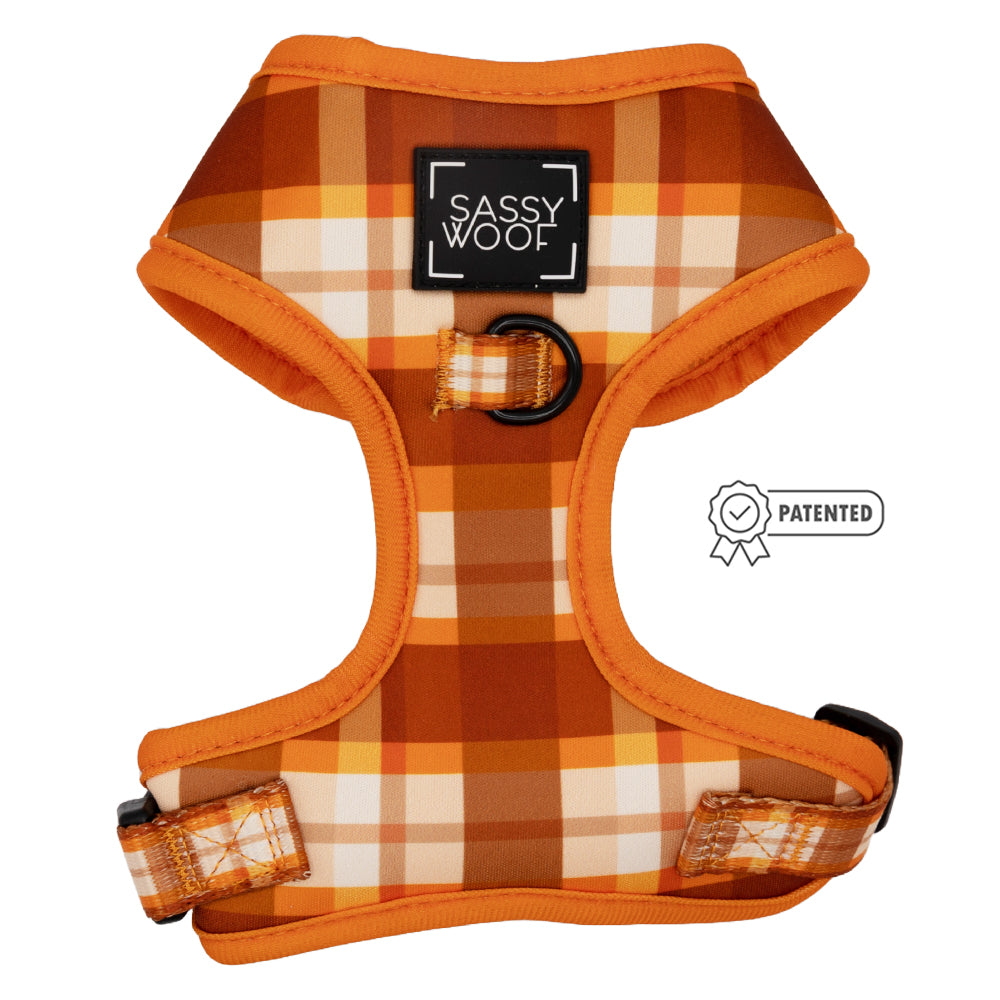 Dog Two Piece Bundle - Spiced Harvest