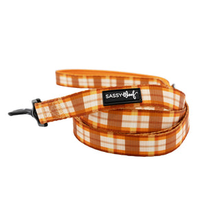 Dog Two Piece Bundle - Spiced Harvest