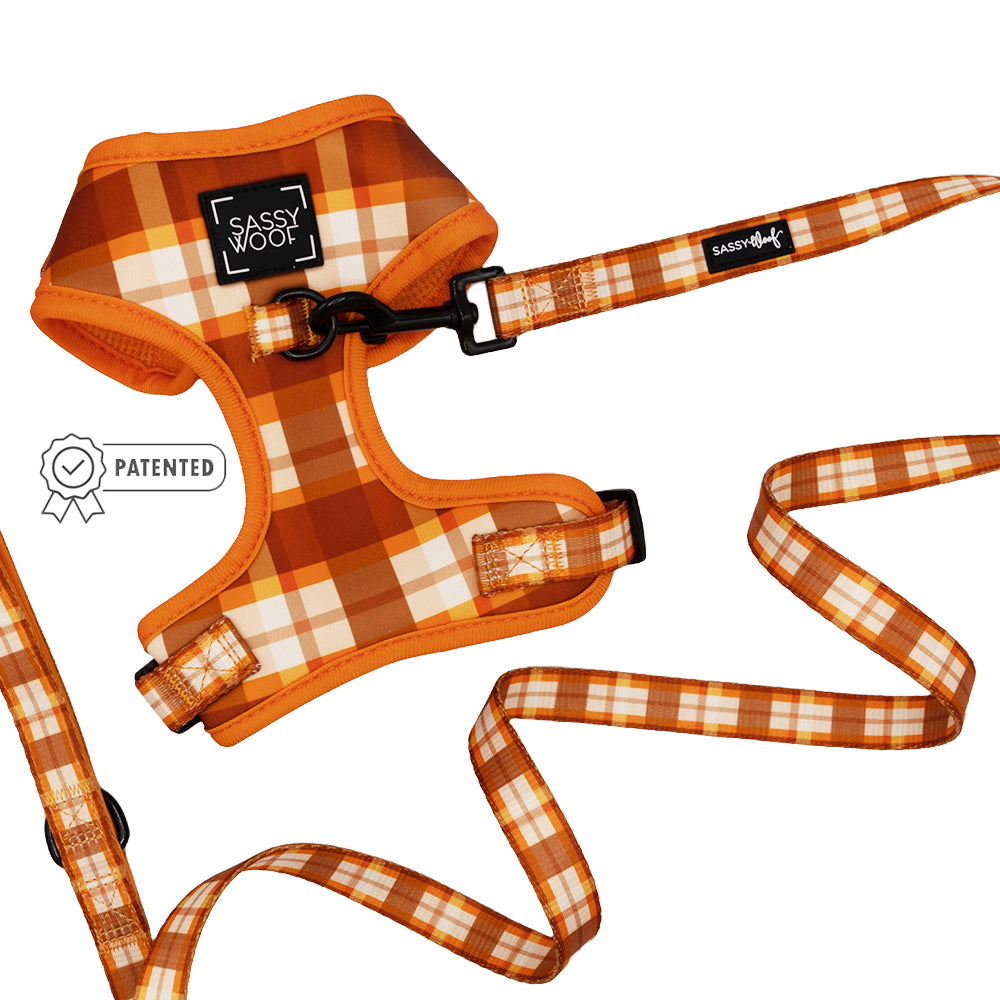 Dog Two Piece Bundle - Spiced Harvest