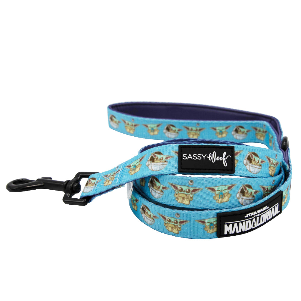 Dog Four Piece Bundle - STAR WARS™ The Mandalorian™