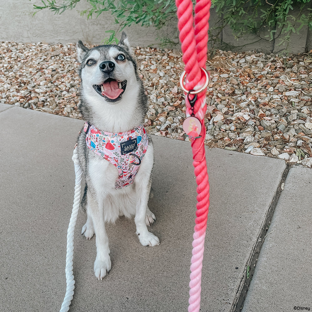 INFLUENCER_CONTENT | @STORMYTHEKLEEKAI