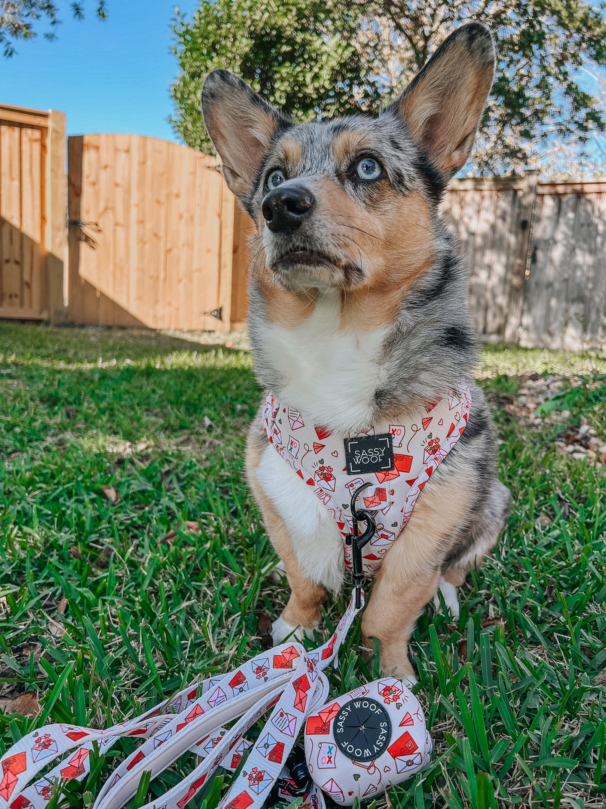 INFLUENCER_CONTENT | @STORMY_CORGI | SIZE M & M