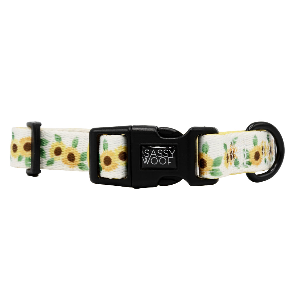 Dog Four Piece Bundle - Sunflower Dreams