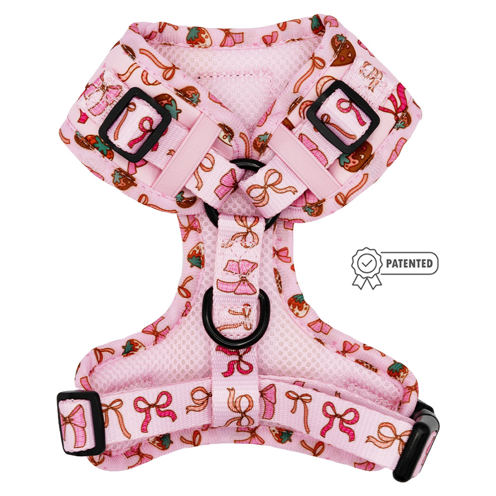 Dog Adjustable Harness - Sweet Treats