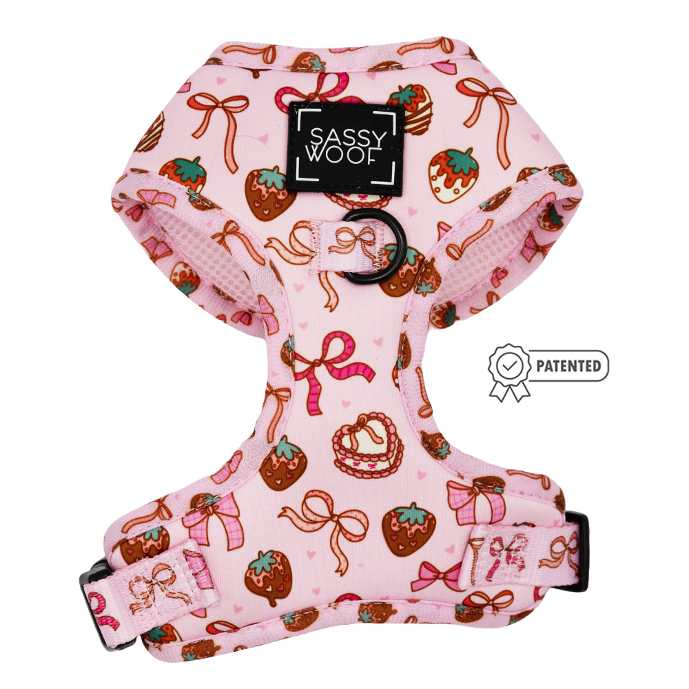 Dog Four Piece Bundle - Sweet Treats