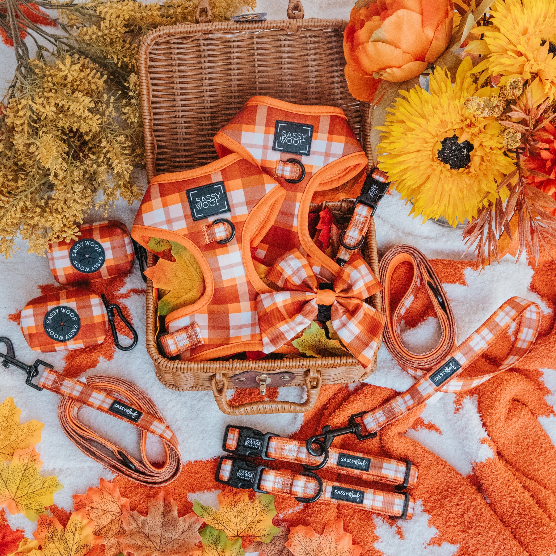 Dog Two Piece Bundle - Spiced Harvest