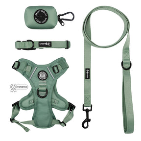 Dog Four Piece Bundle - Sage