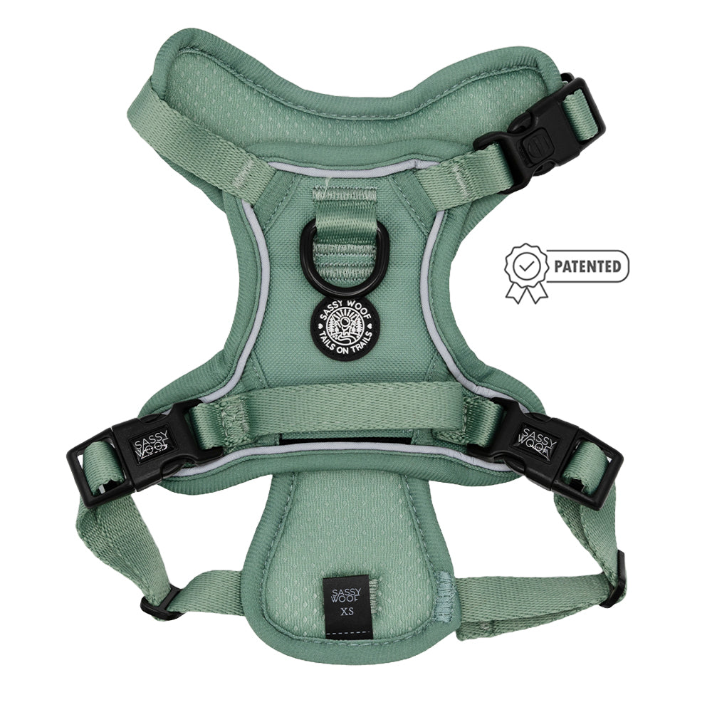 Dog Step-in Harness - Sage