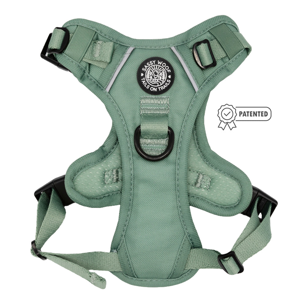 Dog Step-in Harness - Sage