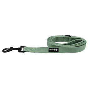 Dog Leash - Sage