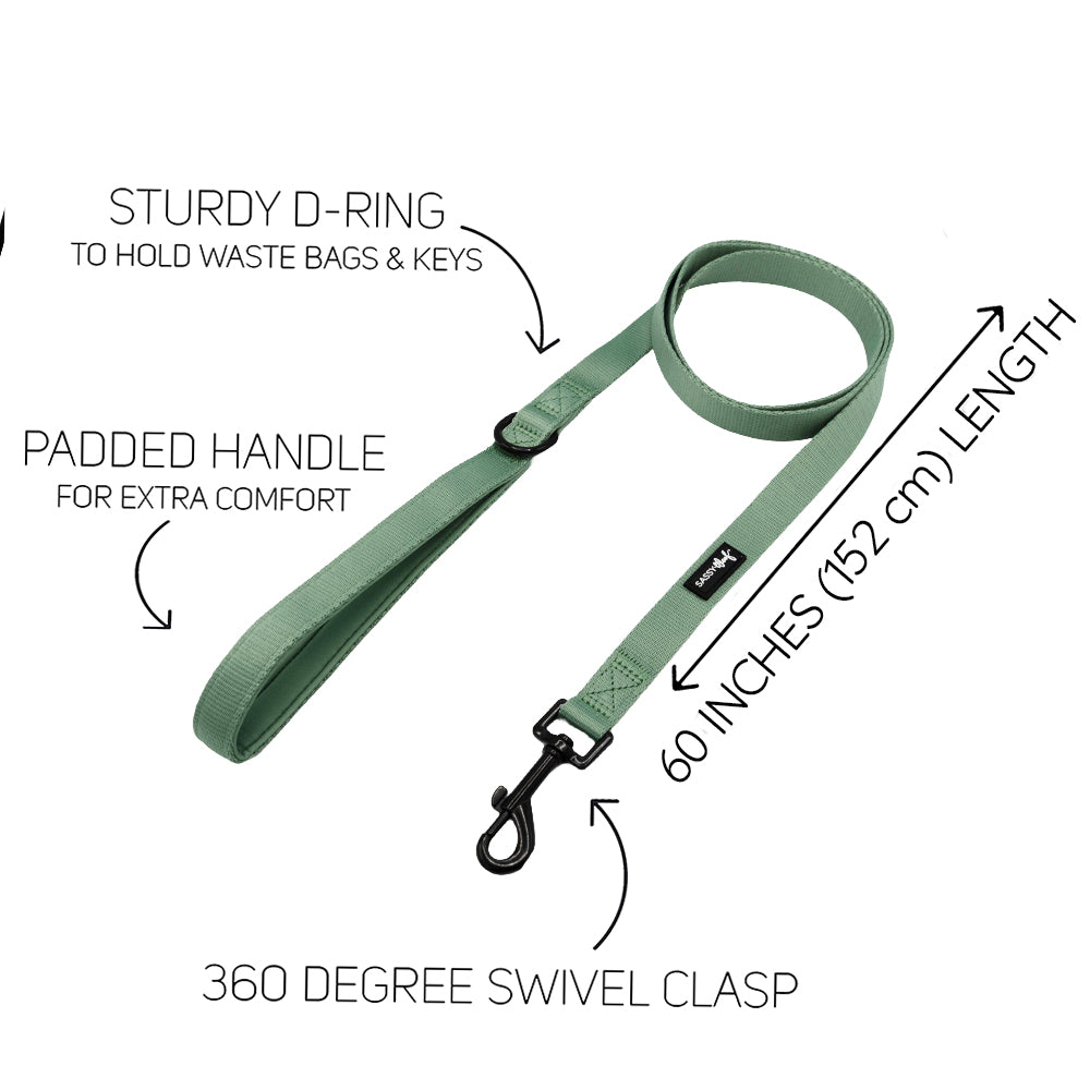 Dog Two Piece Bundle - Sage