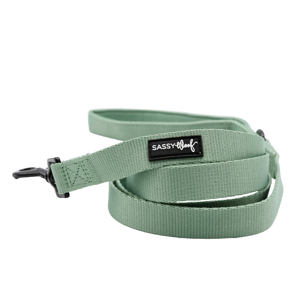 Dog Two Piece Bundle - Sage