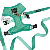 Dog Two Piece Bundle - Wag Your Teal