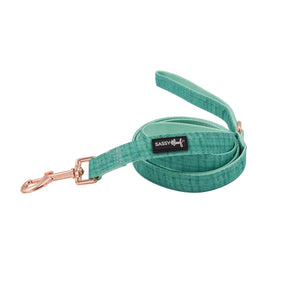 Dog Two Piece Bundle - Wag Your Teal