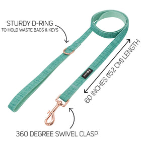 Dog Two Piece Bundle - Wag Your Teal