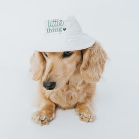 Bucket Hat Bundle - Little Things