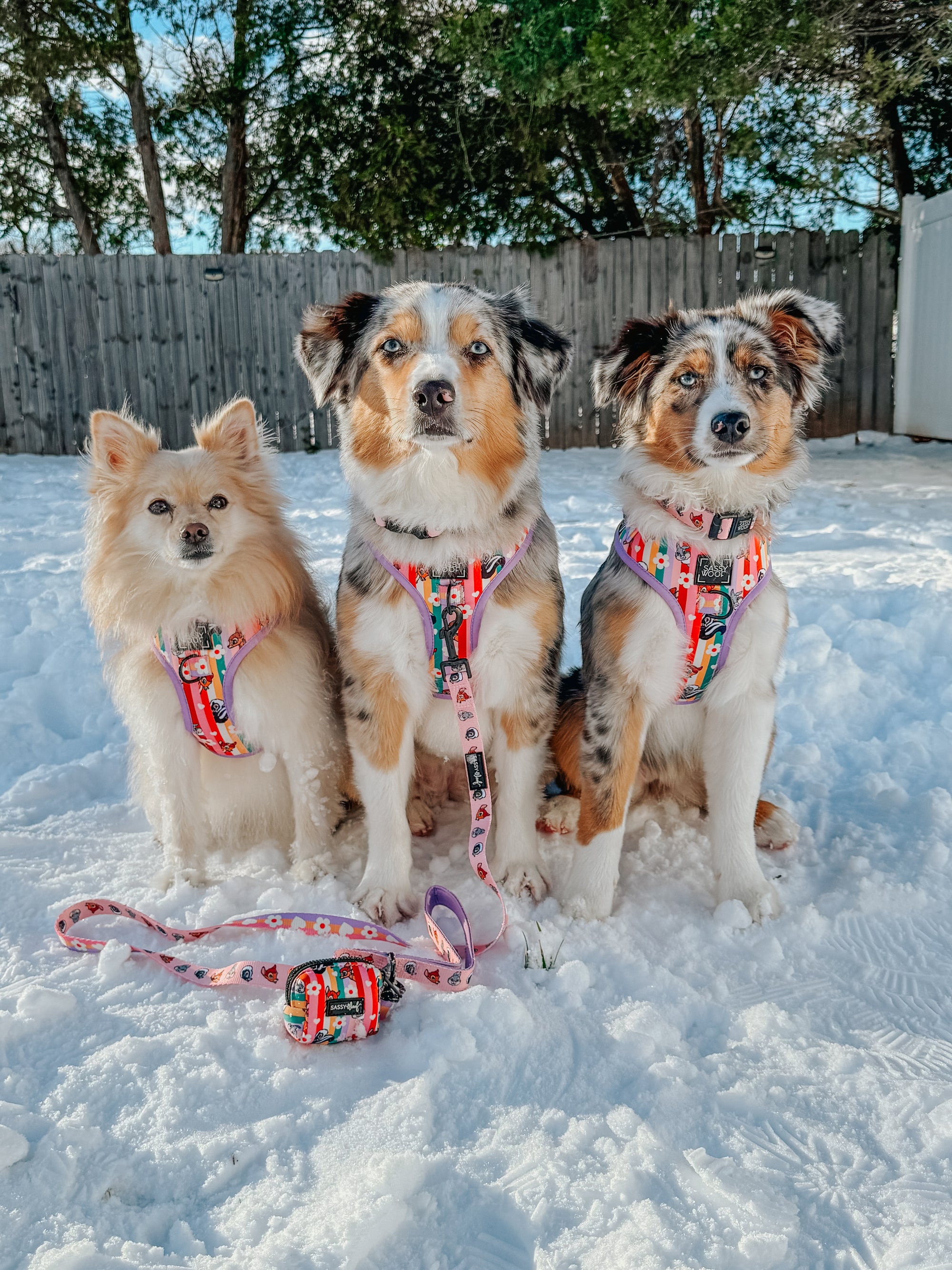 INFLUENCER_CONTENT | @LILYTHEMINIAUSSIE