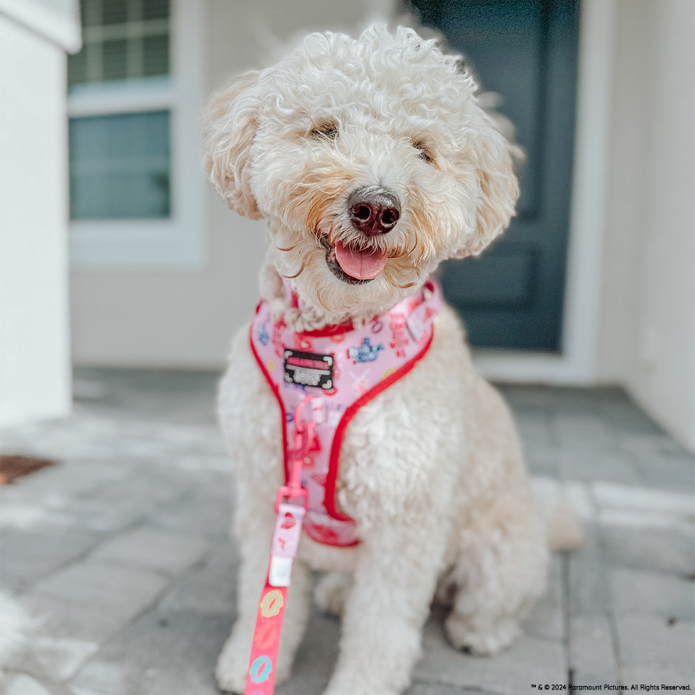 INFLUENCER_CONTENT | @REMYROSE_GOLDENDOODLE | SIZE M