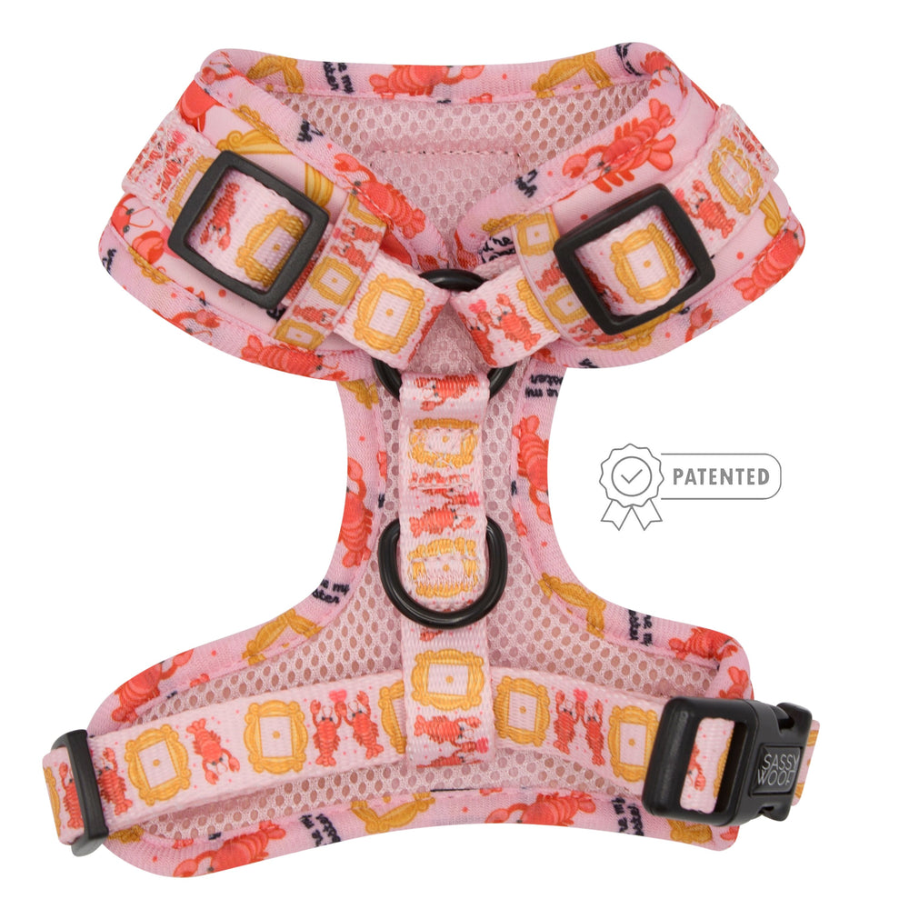 Dog Adjustable Harness - Friends™ (Lobster) | Sassy Woof Product