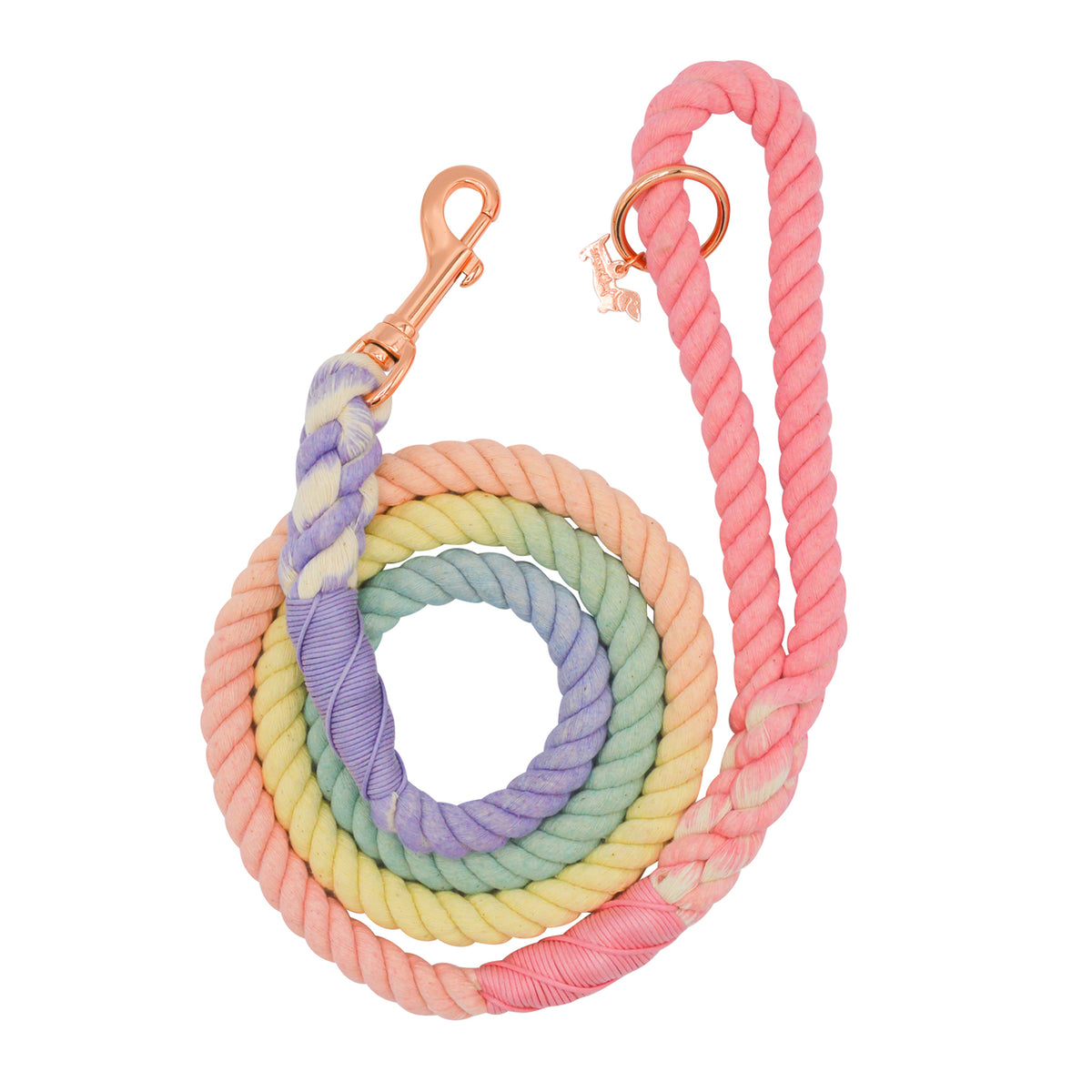 Rainbow rope dog leash best sale